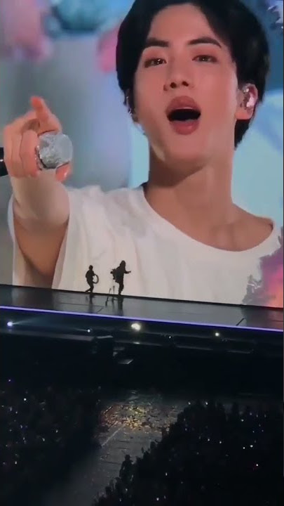 cutest fancam of Jin