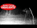 Ugliest creature ever caught on camera thursdays trail cam highlights 33023