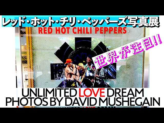 世界が注目のレッチリ写真展「UNLIMITED LOVE DREAM」(会場：Ron