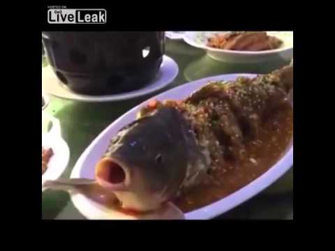 Fish gets a shot of alcohol