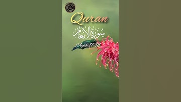 سورة الأنعام 💐اردو ترجعي اية ١٧-١٨ #القران #السعودية #القرآن_الكريم #viral