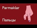 Турецкий язык для начинающих, пальцы