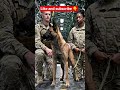 🏆 Nobody Expected This 8-Month-Old K9 To Be Here 🚁🔥
