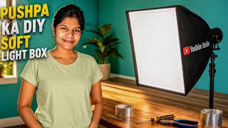 Pushpa Ka DIY Soft light box!🎁💥