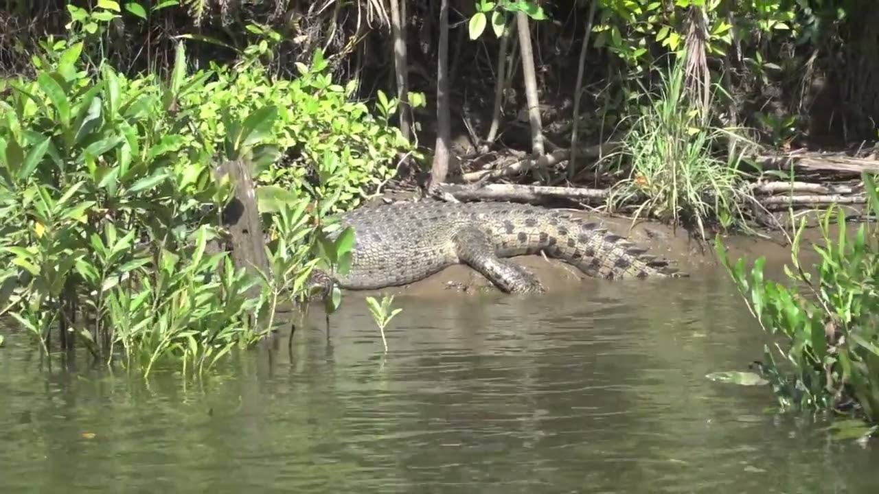 Coral Princess Cruise  Voyage 3rd September 2022 10 Day Cruise  Queensland
