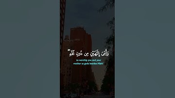 #ماهرالمعيقلي #القرآن_الكريم #آيات #راحة_نفسية #ارحقلبك #اكسبلور #اكسبلورفولو #لايك