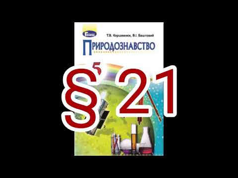 § 21 "АСТРОНОМІЯ-НАУКА ПРО ВСЕСВІТ" //5 клас Природознавство//Коршевнюк