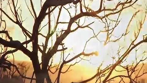 تلاوة عذبة تخشع لها القلوب 😌♥️🎧 سورة الإنسان
