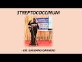 Streptococcinum  the remedy of todays generation  dr gaurang gaikwad