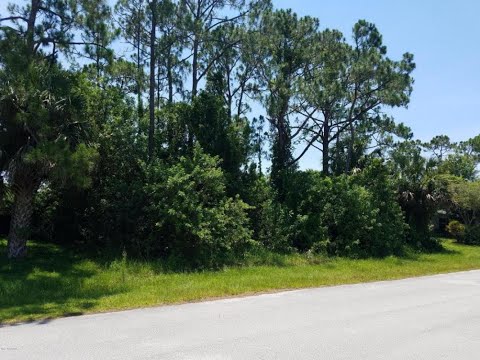 211 NW Medea Avenue, Palm Bay, FL home video tour