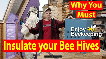 Well Insulated Hives 01 24 2023