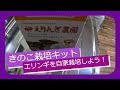 【えりんぎ農園】 栽培開始～成長過程～収穫まで　３週間を９分弱でお届け！　-　LEAD