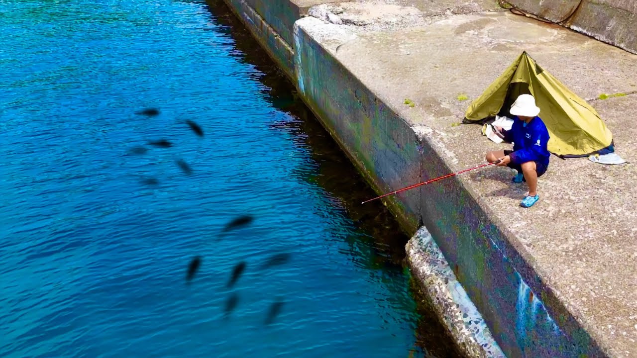 I caught an unexpected monster on a pier where no one fishes