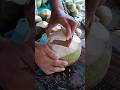 Fast hands. Clean cut. Global money 💸🥥🌴#coconut#asmr#satisfying#oddlysatisfying#foodprocess