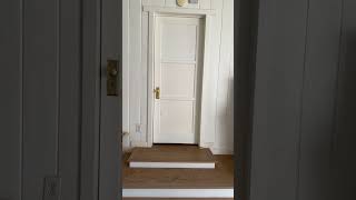 Have Fun With Willis