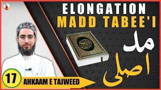 The Madd | Elongation | Maddul Asli | Ahkaam e Tajweed Class - #17 | Qari Aqib | Urdu/Hindi