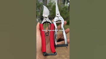 Kéo thép đúc nguyên khối #dcgroup #dungculamvuon #dungcubonsai