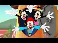 Animaniacs (2020) - Opening en Español Latino (Oficial)