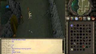 THE BEST RUNESCAPE SEVER EVER!!!!!! (TRINITYSCAPE)