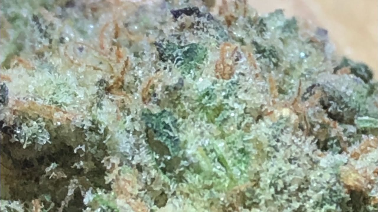 Vanilla funk strain review