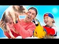 Челлендж Настоящие ЖИВОТНЫЕ против ОБЫЧНОЙ ЕДЫ Что-то Пошло НЕ ТАК New Challenge Real Animals