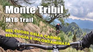 Monte Tribìl, CAI 165, Sentiero Cimenti, Troi di Lauco, Villa Santina - MTB Trail