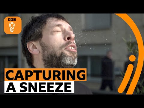The curious history of filming the sneeze | BBC Ideas