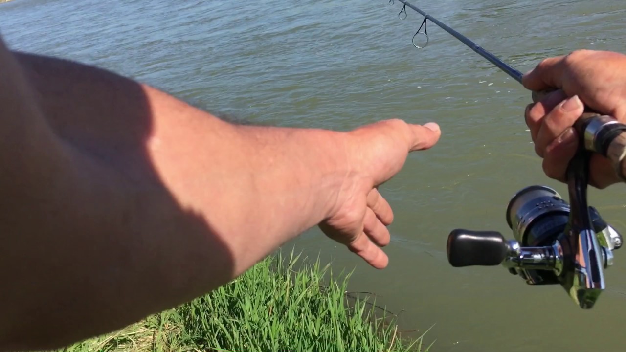 Murky waters on the Bow River. Sharing my lure selection and fishing