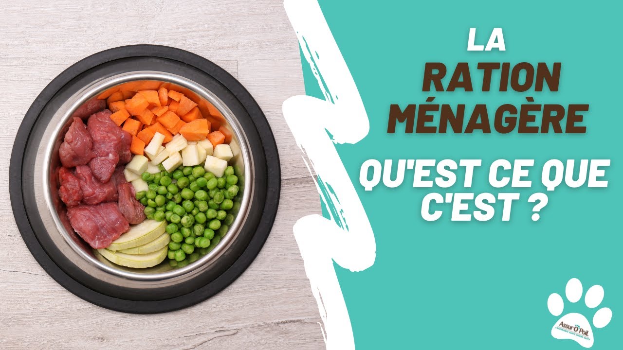 NOURRIR SON ANIMAL À LA RATION MÉNAGÈRE