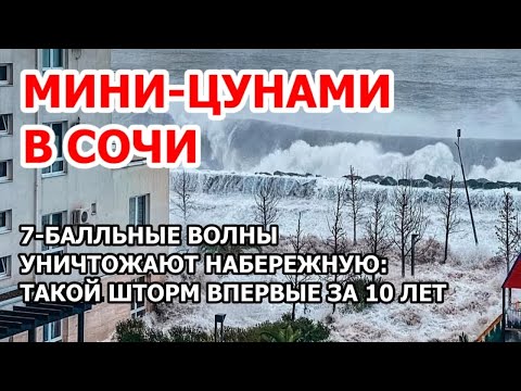 Vídeo: Terminal Marina De Sochi: Descripció, Història, Excursions, Adreça Exacta