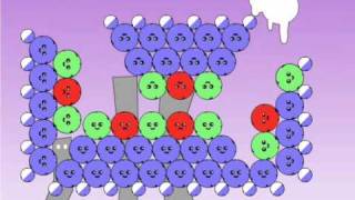 Red Remover Level 41-45 Normal And Bonus Mode Walkthrough