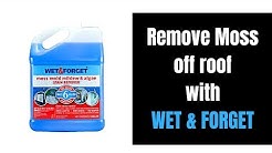 How to Remove Moss & Mold from your Roof Shingles with Wet & Forget Roof Shingle Demo Video