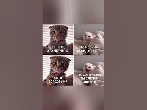 мем - YouTube