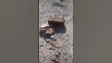 قبر روماني 