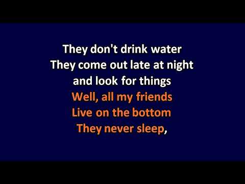 Viagra Boys - Creatures - Karaoke Instrumental Lyrics - ObsKure