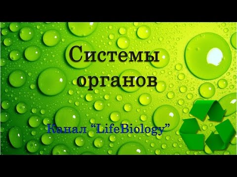 Системы органов