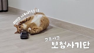 SUB) 고통사고 보험 사기단 | RC카 와 고양이가 만나면?! | 고양이 브이로그 | cat vlog by 전자 고양이 솜뭉치 2,699 views 2 months ago 6 minutes, 16 seconds