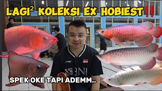 LAGI² KOLESI BARU YANG DI DAPET DARI EX HOBIEST‼️ SPEK OKE² TAPI ADEMM..