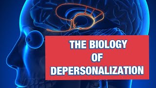 THE BIOLOGY OF DEPERSONALIZATION