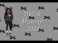 TikTok Mashup 2024 Not Clean 