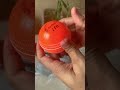 I BOUGHT A SYNTHETIC CRICKET BALL 亞 Shorts Unboxing Cricketball I BOUGHT A SYNTHETIC CRICKET BALL 亞 Shorts Unboxing Cricketball