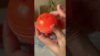 I Bought A Synthetic Cricket Ball 