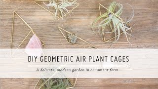 DIY Geometric Air Plant Cages | Home Decor Tutorial | Mr Kate