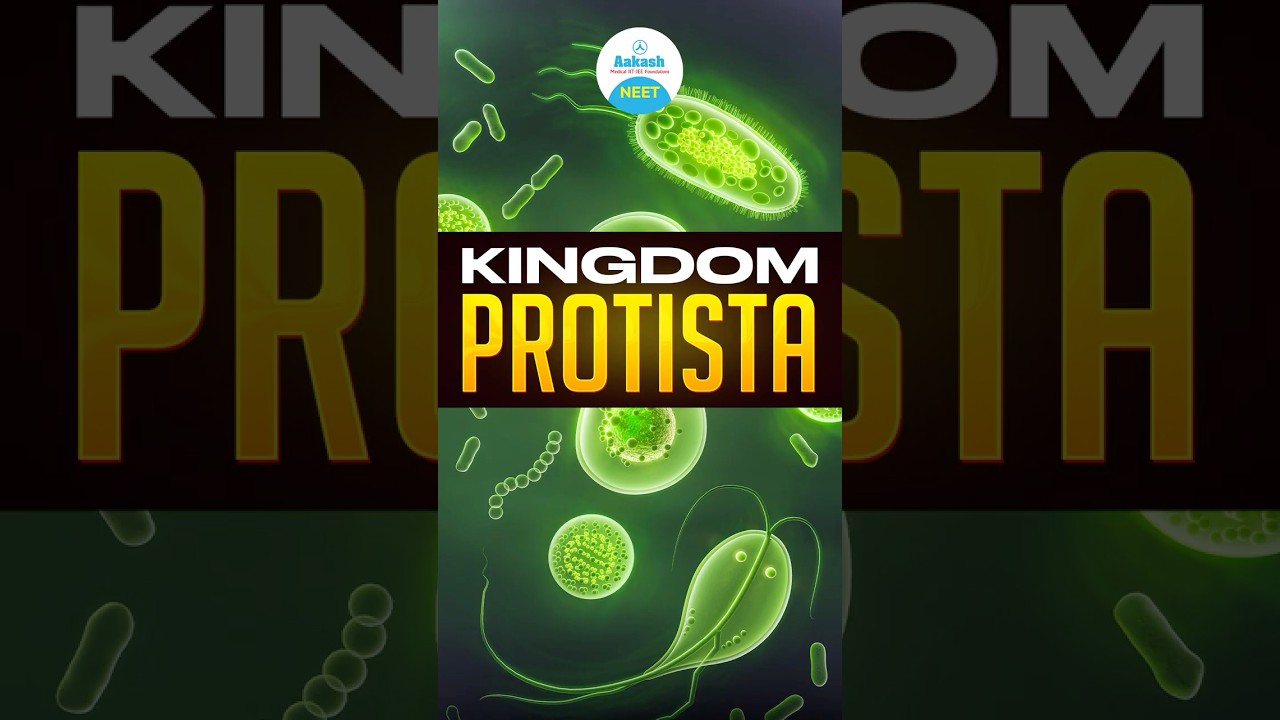 Planet Earth | Kingdom Protista | Botany | NEET 2026