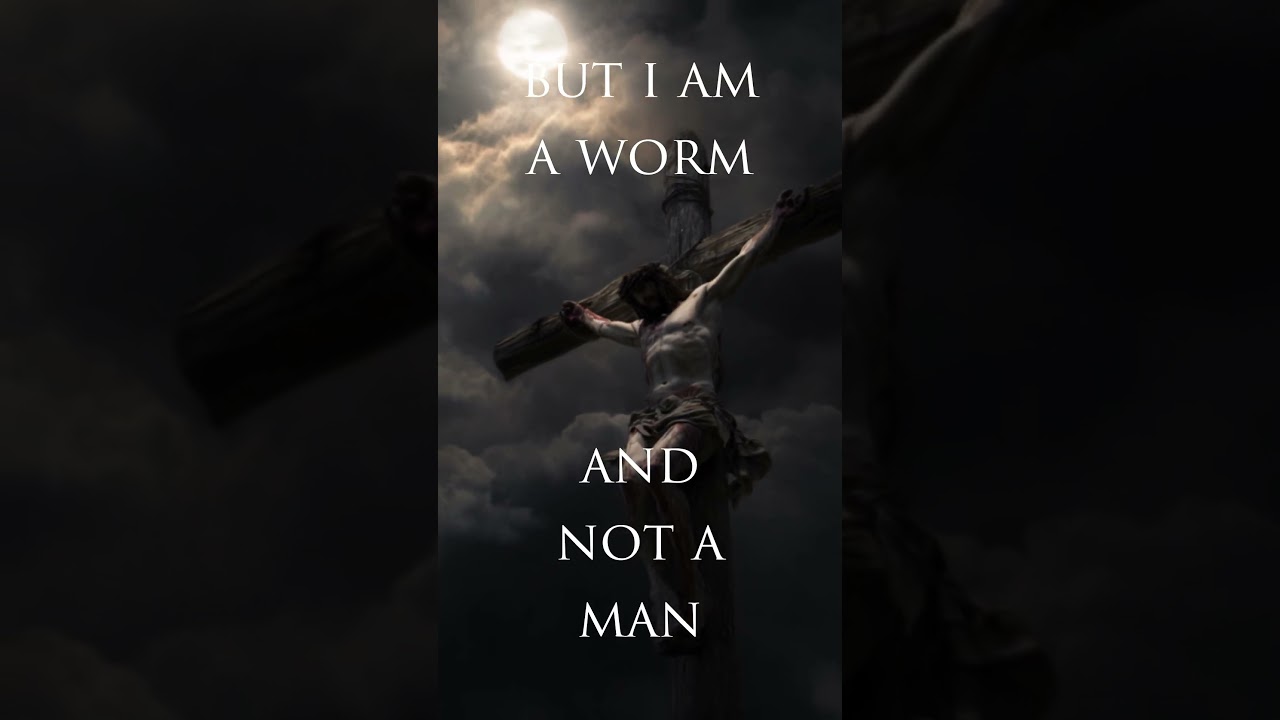 Fascinating Bible Mystery Revealed!! | The Jesus Worm | Tola