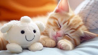 Music for Nervous Cats  Soothing Cat Music for Deep Relaxation, Sleep, and Comfort