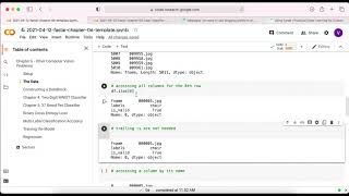 fastai - Chapter 6 - Building Single, Multi-label Classification and Image Regression Models