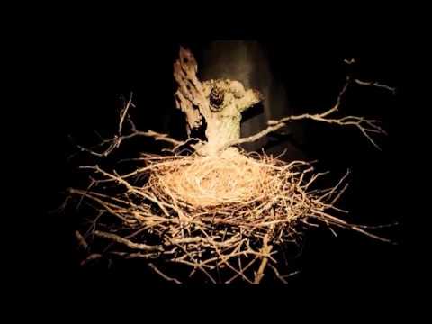 Watch Flood - Nest on YouTube Watch Flood - Nest on YouTube