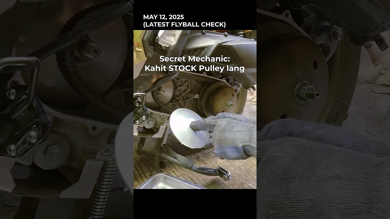 Dr Pulley 17grams Flyball Long-term Review for ADV 160 