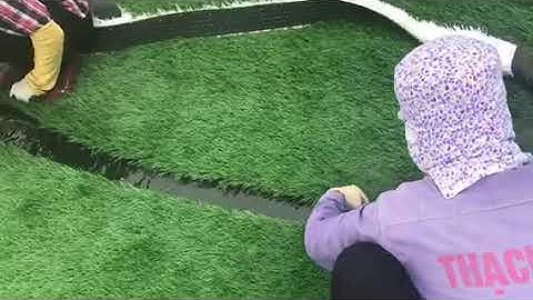 Quy trình vào line trắng sân bóng